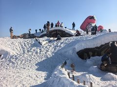 -绿野森林乐园冰雪季