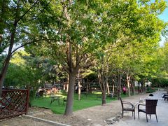 -尚庄度假村·庭台树下·户外烧烤·团建CS·轰趴营地(上庄水库店)