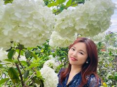 -大龙山(地铁站)