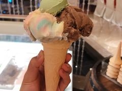 -都喜天丽富都青枫苑酒店-青枫小筑