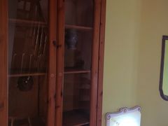 -金山农民画村-枫泾波兰倒置屋