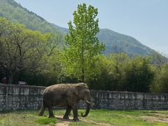 -西安秦岭野生动物园