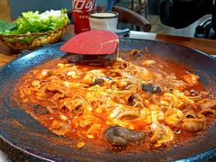 -红辣椒八爪鱼特色韩国料理
