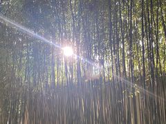 -阳光温泉大酒店