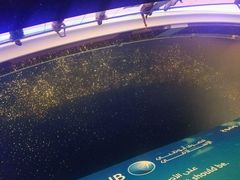 -迪拜水族馆及水下动物园