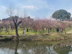 -无锡梅园公园