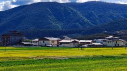-纳帕海依拉草原