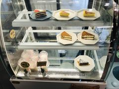 -有猫主题·治愈系猫咖(曾厝垵店)