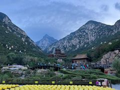 -禅宗少林·音乐大典