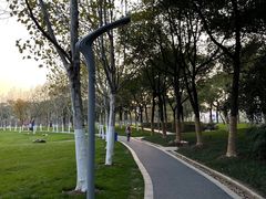 -天鹅湖体育公园