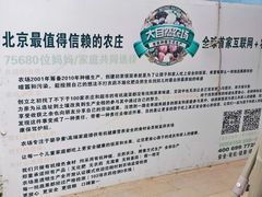 -大自然农场蔬菜草莓采摘园