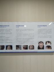 -碧莲盛·不剃发植发