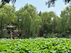 -莲池书院博物馆