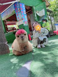 -萌宠亲子动物乐园(槐房万达店)