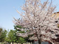 -终南山古楼观历史文化景区