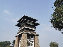 -大湾区中央湿地公园