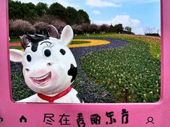 -秀丽东方
