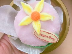-哈根达斯(虹口店)