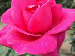 -人民公园(罗湖区)