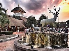 -清迈夜间动物园