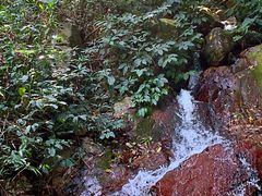 -梧桐山风景名胜区