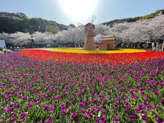 -苏州上方山国家森林公园