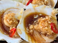 粉丝蒸扇贝-宝塘茶楼