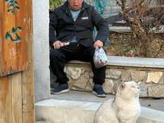 -辛庄国际文化艺术区