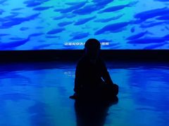 -同济大学四平路校区深海探索馆
