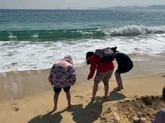 -大梅沙海滨公园