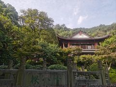 -阿巧茶庄