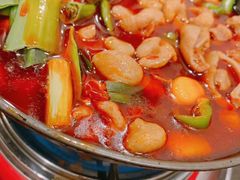 -湘肠香火锅店(团结湖店)