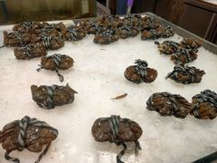 -半岛听涛蒸汽海鲜自助(K11店)
