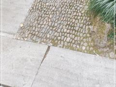 -杭州黄龙洞