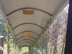 -龙潭大峡谷自然风景区