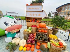 -中国天府农业博览园