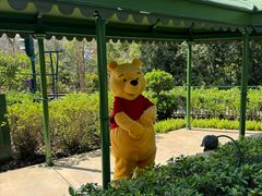 -小熊维尼历险之旅