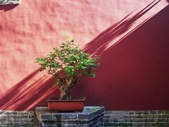 -西安市广仁寺