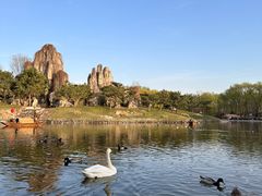 -北京野生动物园