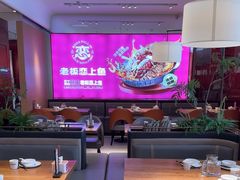 -老板恋上鱼(恒隆广场店)