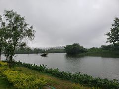 -洋湖国家湿地公园