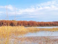-青山湖景区