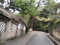 -北极阁公园