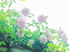 -汇德隆银隆