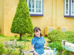 黄色小屋-倒立小屋