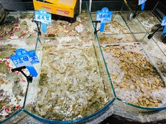 -安东水产海鲜餐厅