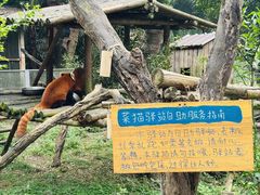 -柳州市动物园