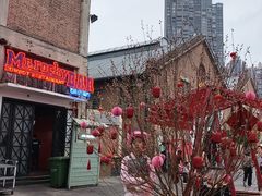 -MR.ROCKY洛奇先生·西餐&酒吧(太古仓店)