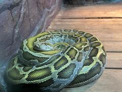 -石家庄市动物园