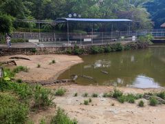 -广东茂名森林公园